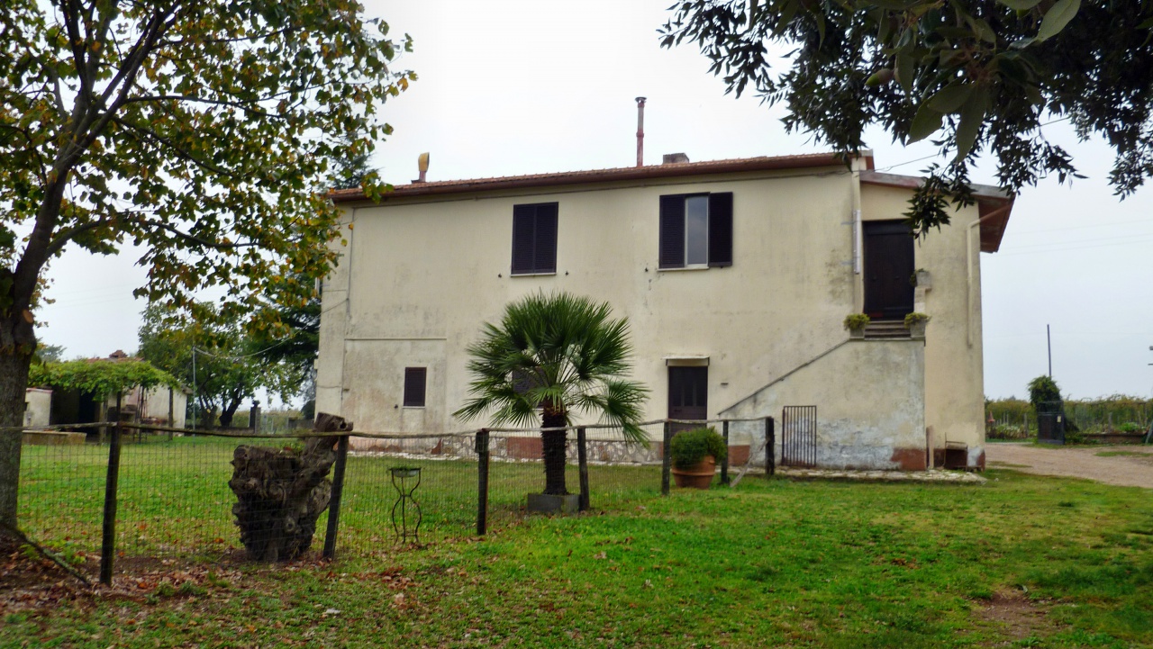 Attivit commerciale in vendita a Pitigliano