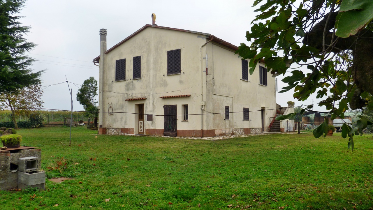 Attivit commerciale in vendita a Pitigliano