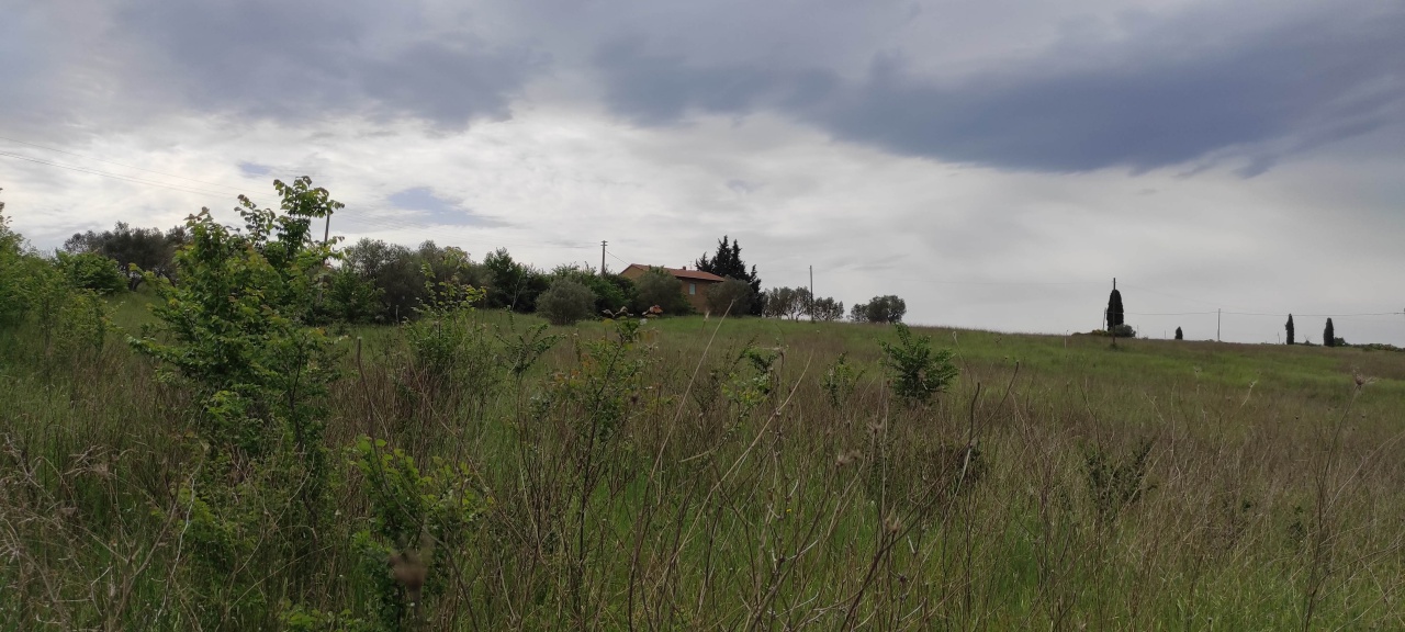 Terreno con giardino a Pienza