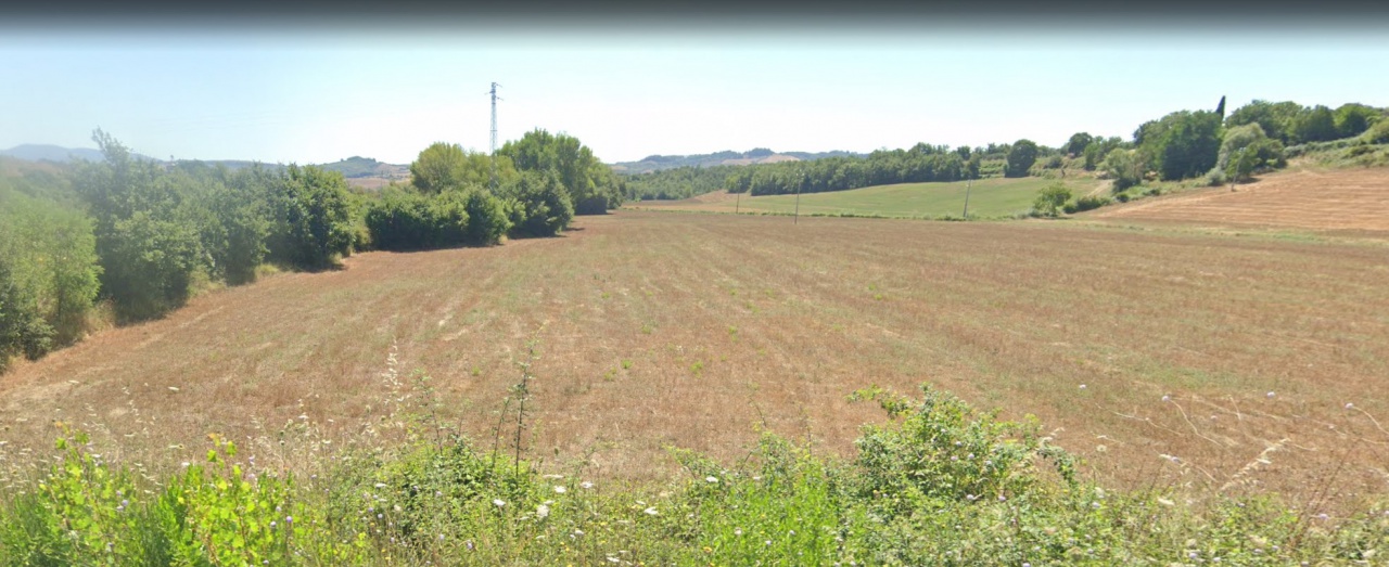 Attivit commerciale in vendita a Castell'Azzara