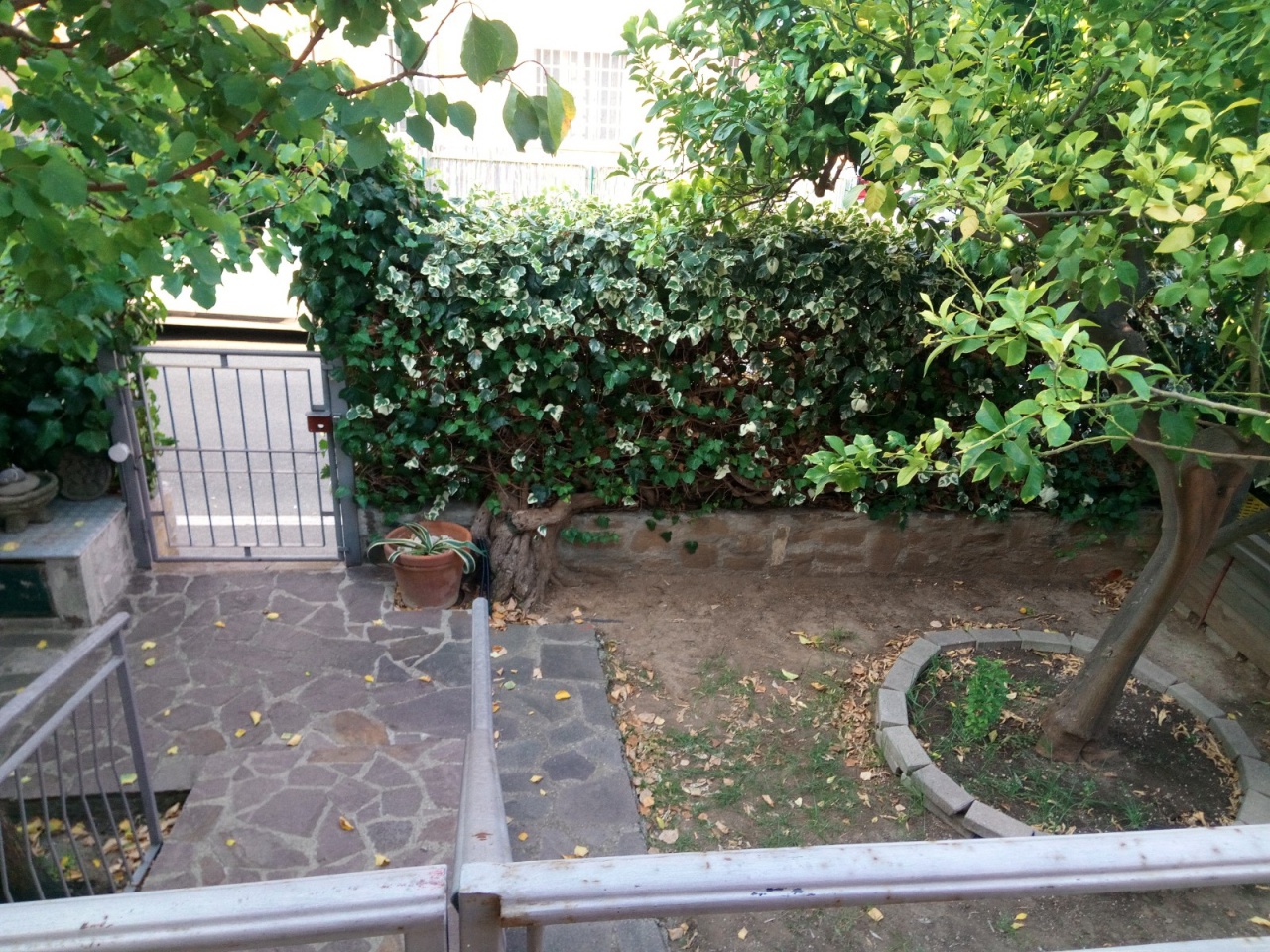 Casa indipendente in affitto a Castiglione della Pescaia