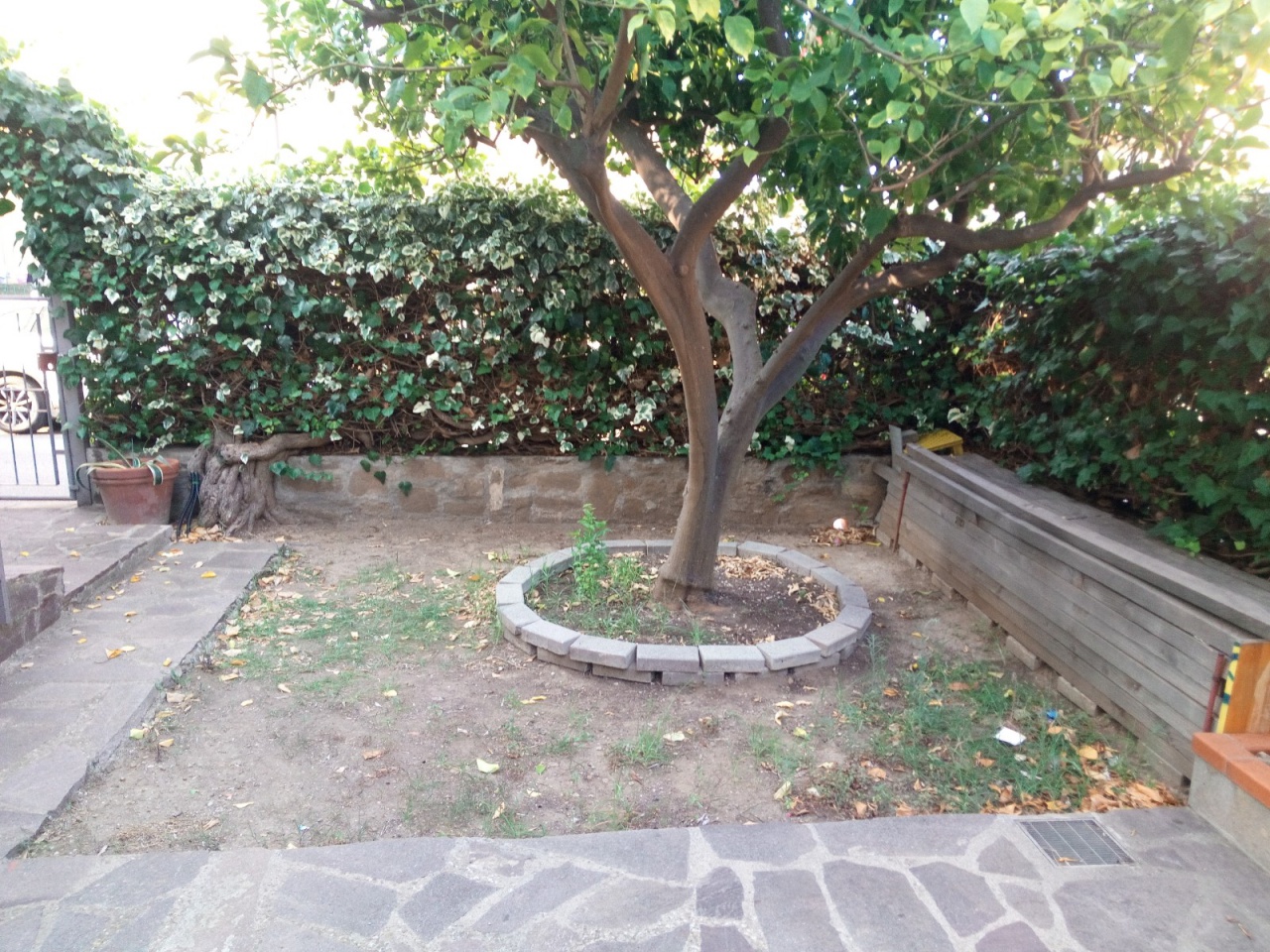 Casa indipendente in affitto a Castiglione della Pescaia