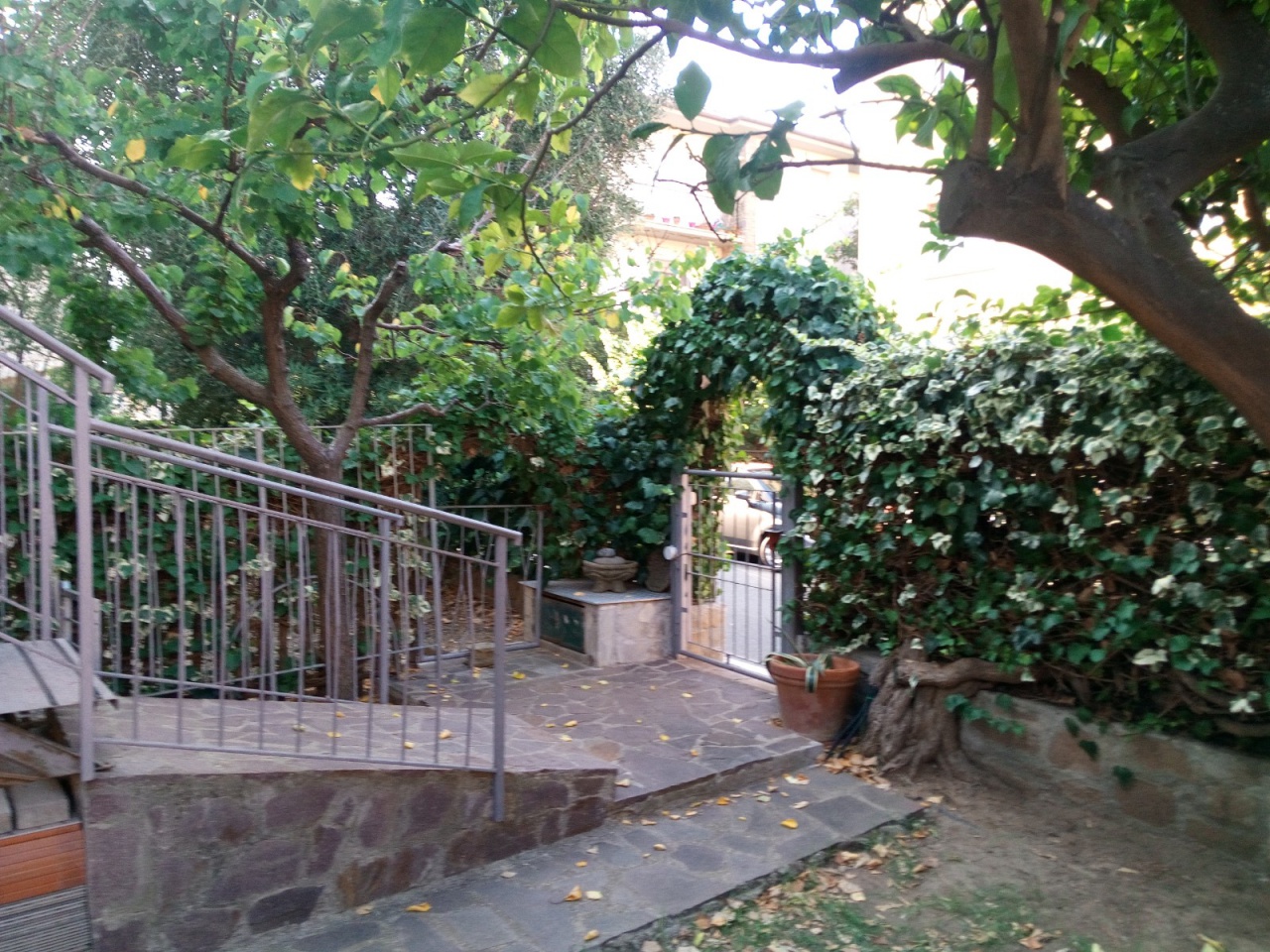 Casa indipendente in affitto a Castiglione della Pescaia