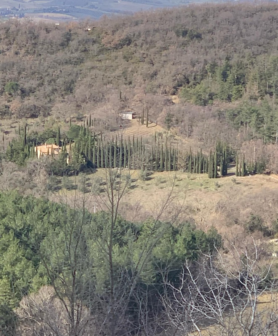 Castello in vendita a Cinigiano