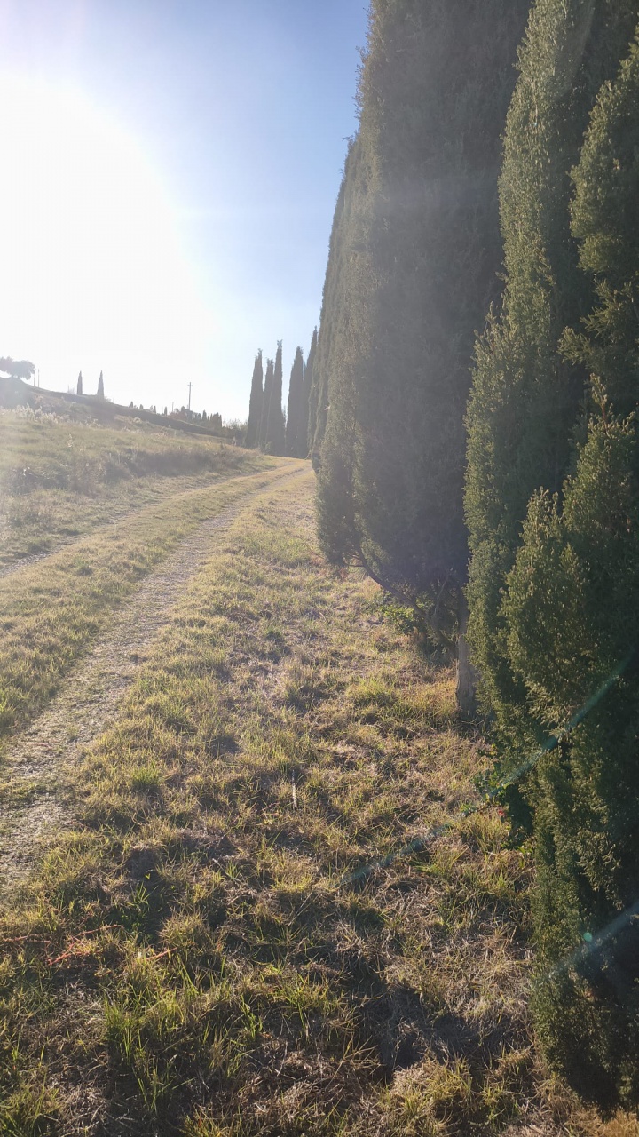 Castello in vendita a Cinigiano