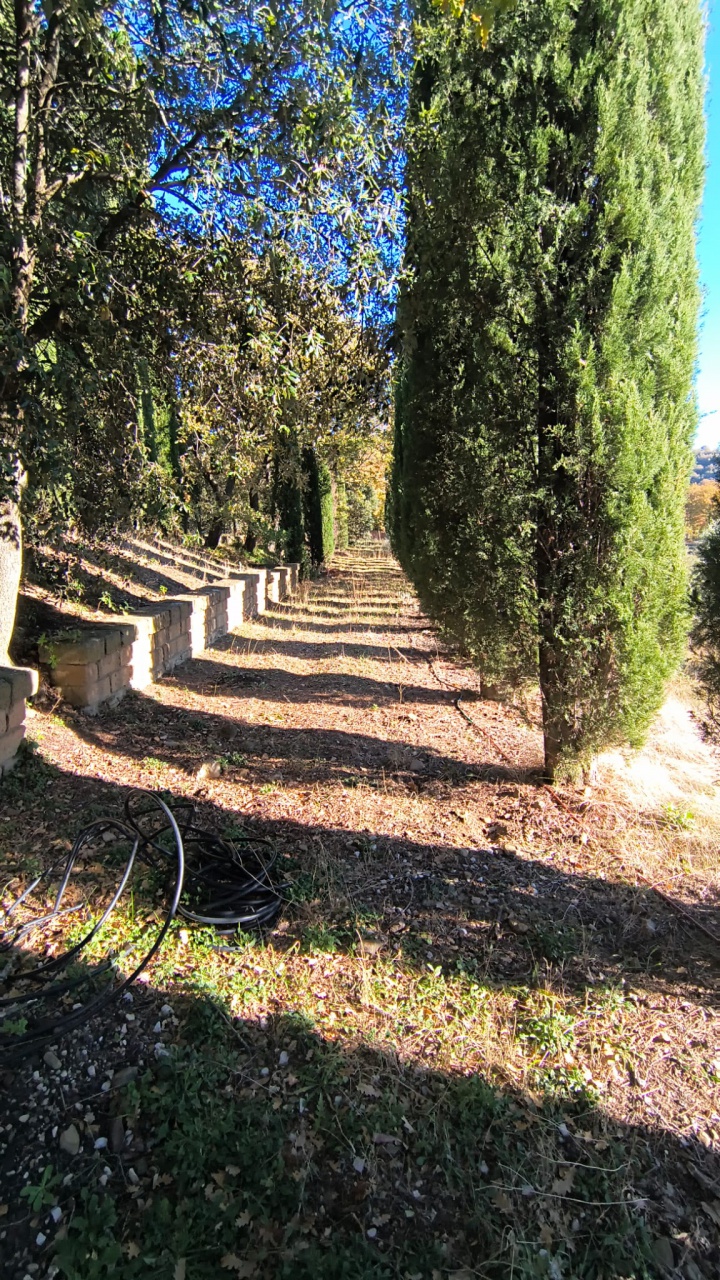 Castello in vendita a Cinigiano