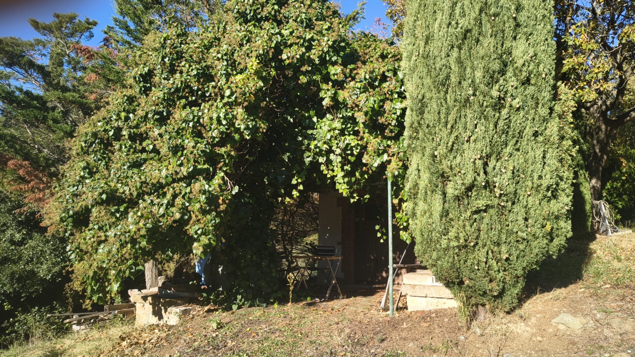 Castello in vendita a Cinigiano