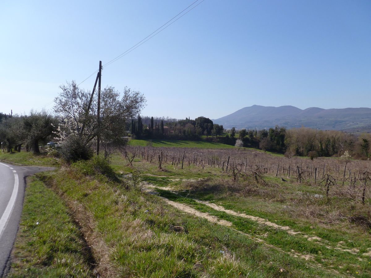 Rustico in vendita a Chiusi