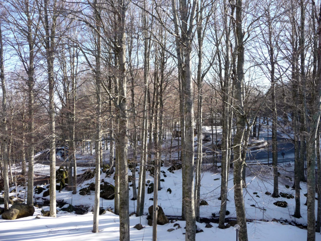 Quadrilocale in vendita a Seggiano