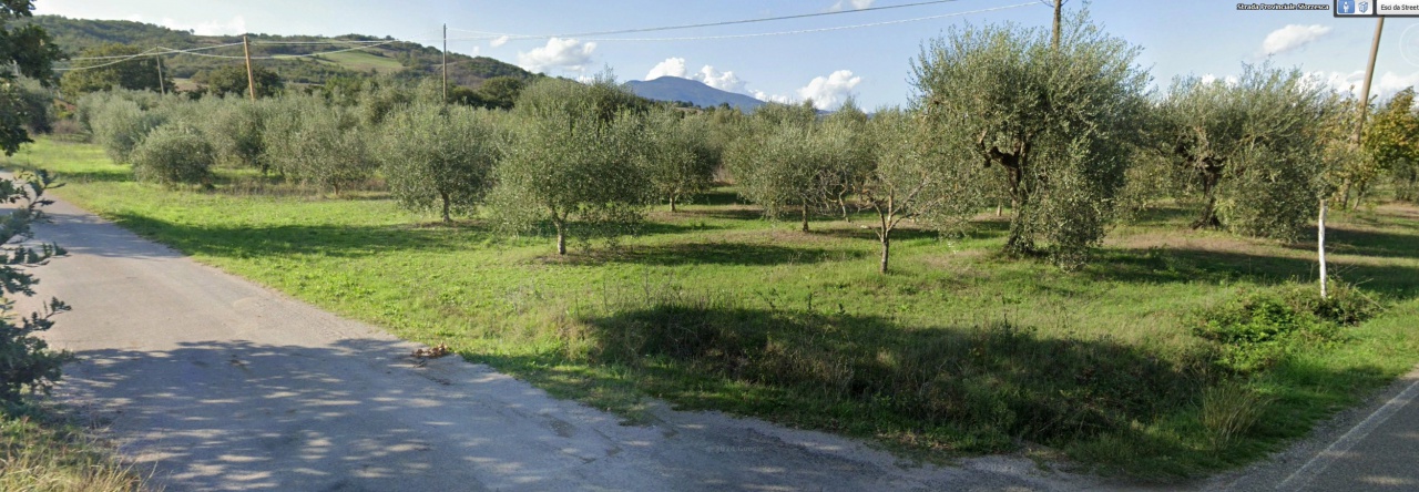 Attivit� commerciale in vendita a Castell'Azzara