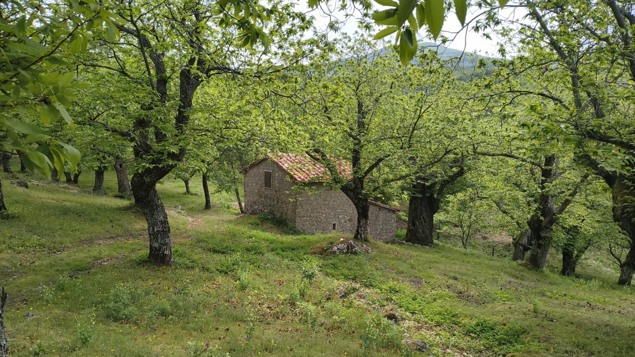 Rustico in vendita a Arcidosso