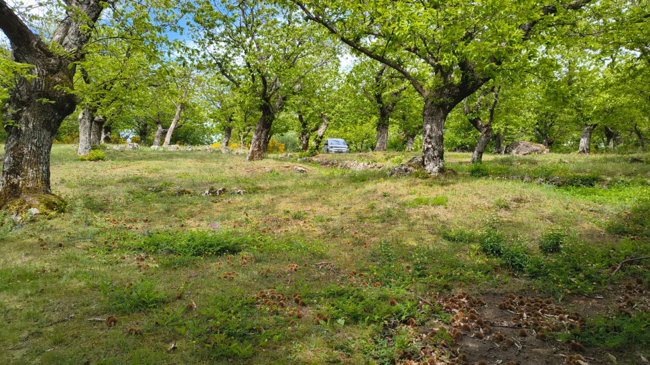 Rustico in vendita a Arcidosso