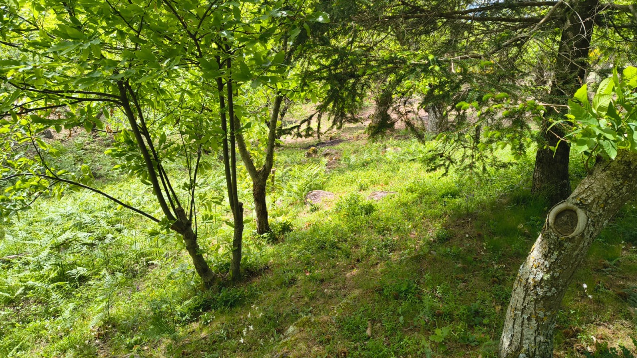 Rustico in vendita a Arcidosso