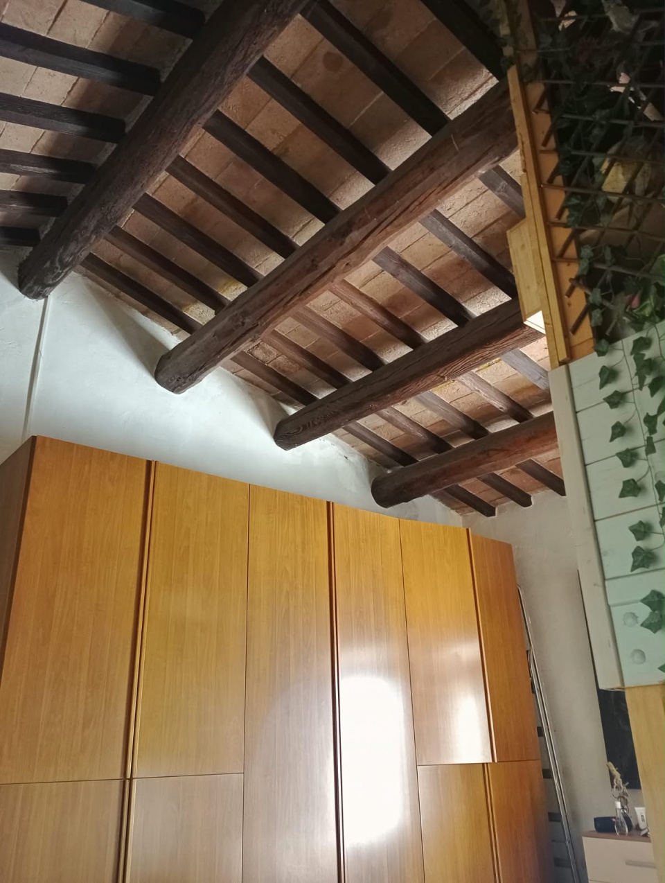 Casa indipendente con giardino a Castellina Marittima