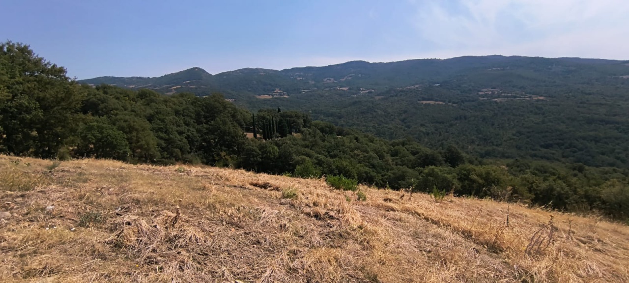 Rustico da ristrutturare a Arcidosso