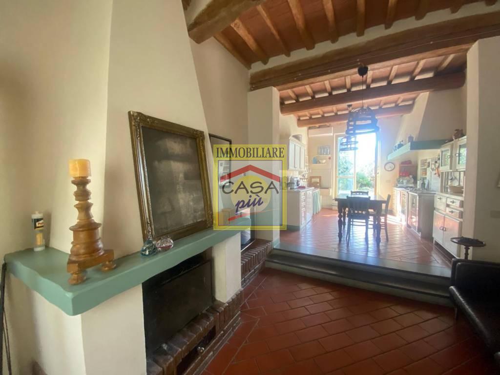 Villa Bifamiliare con giardino a Fauglia