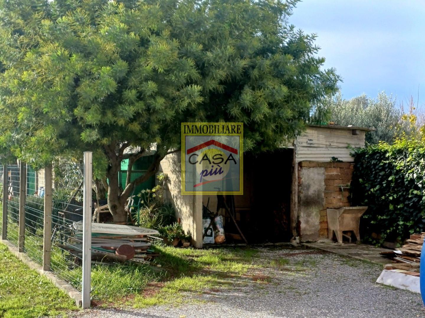 Casa indipendente da ristrutturare, Cascina san prospero navacchio