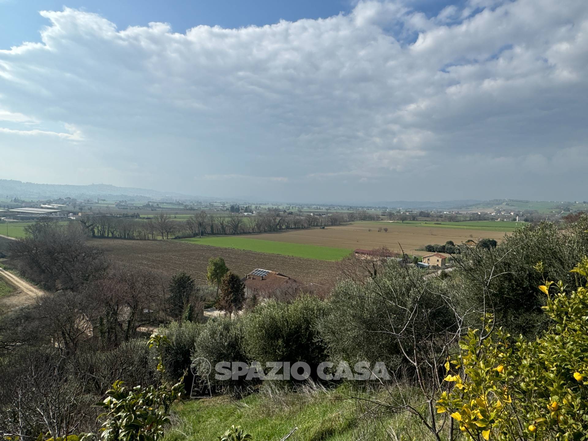immagine annuncio 2 di 6