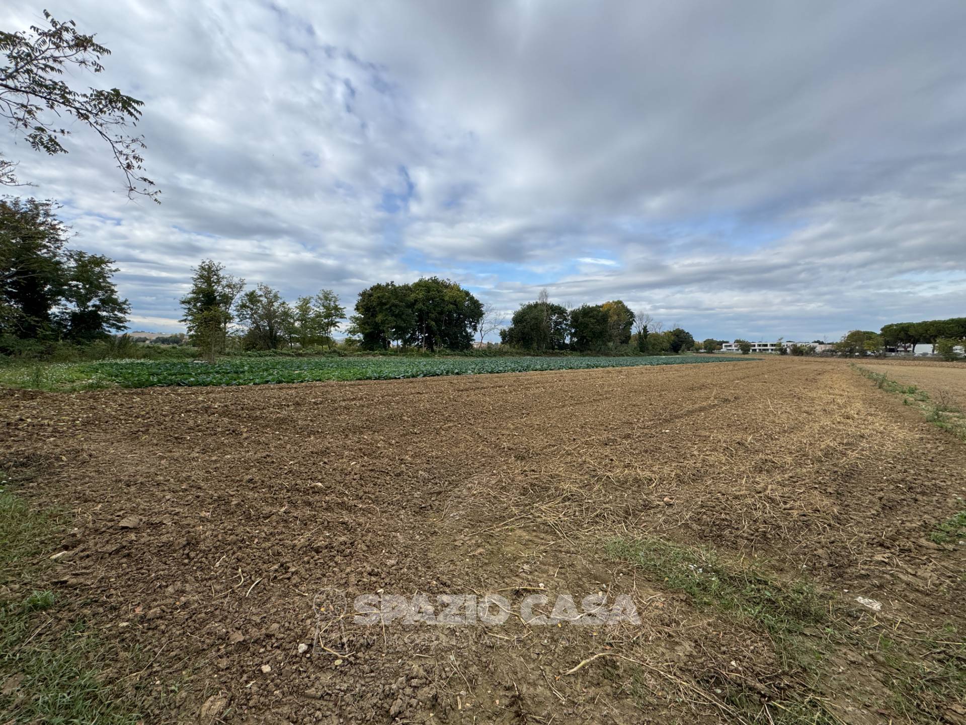 Terreno Agricolo in vendita a Morrovalle, Trodica