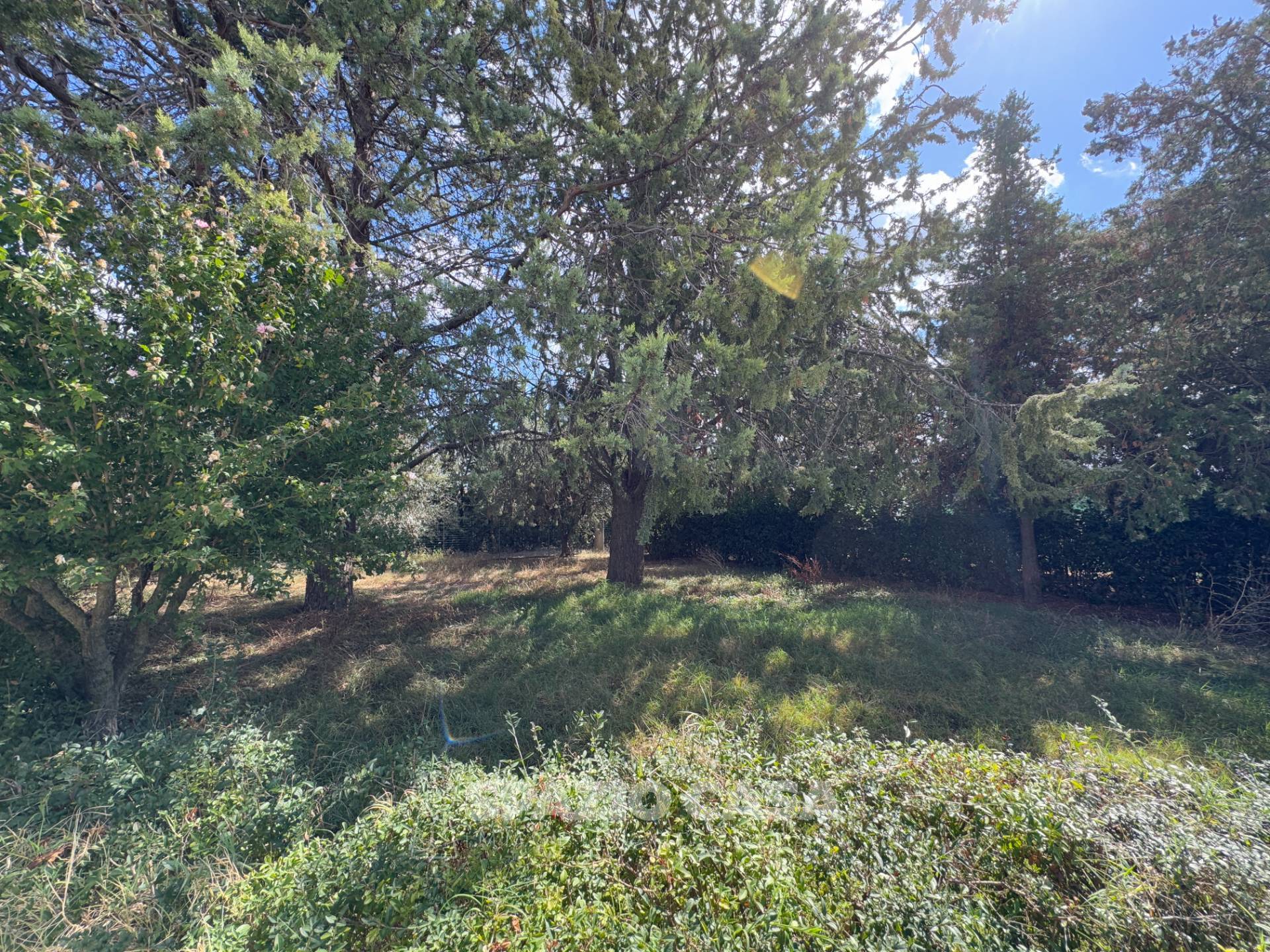 Appartamento in vendita a Corridonia