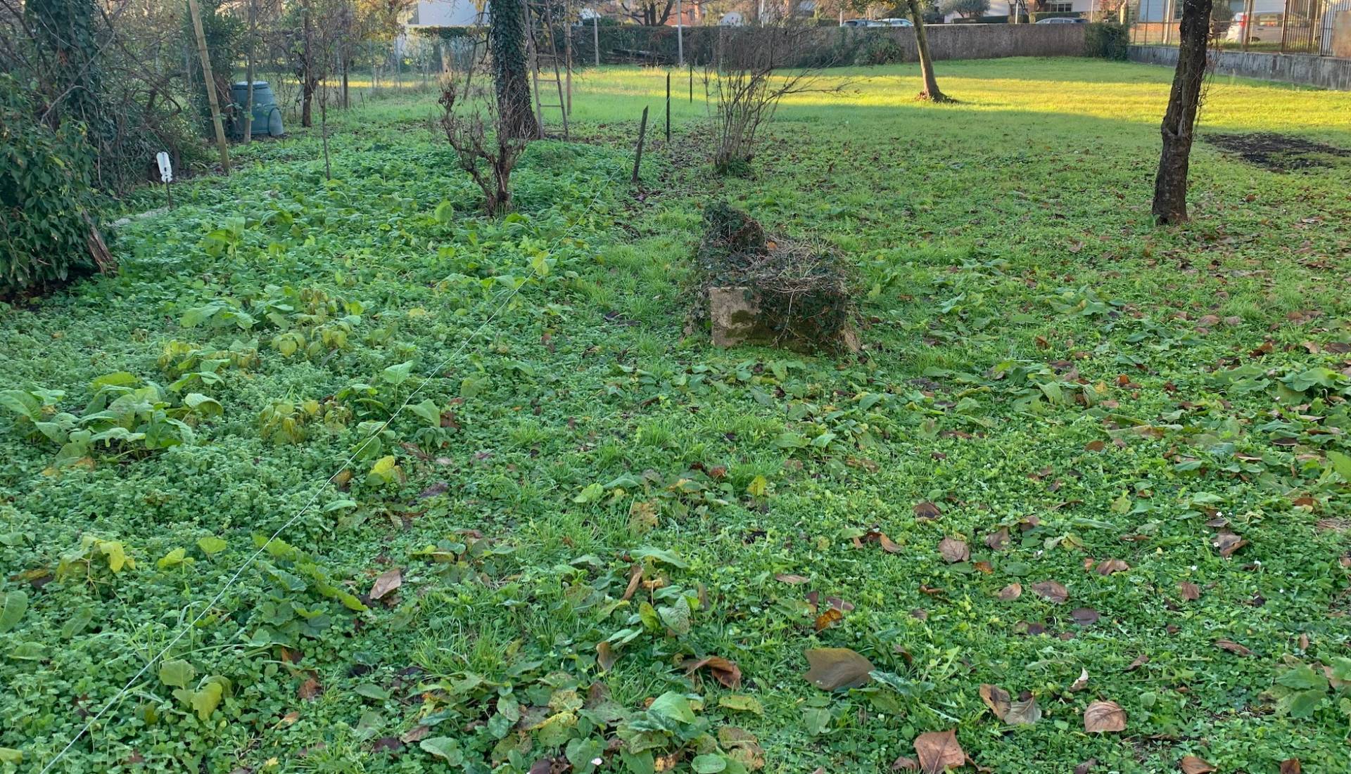 Terreno in vendita a Udine, VIALE PALMANOVA