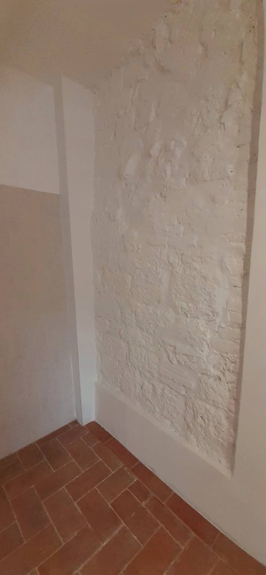 Fondi in affitto a Pisa, Quartiere San Martino