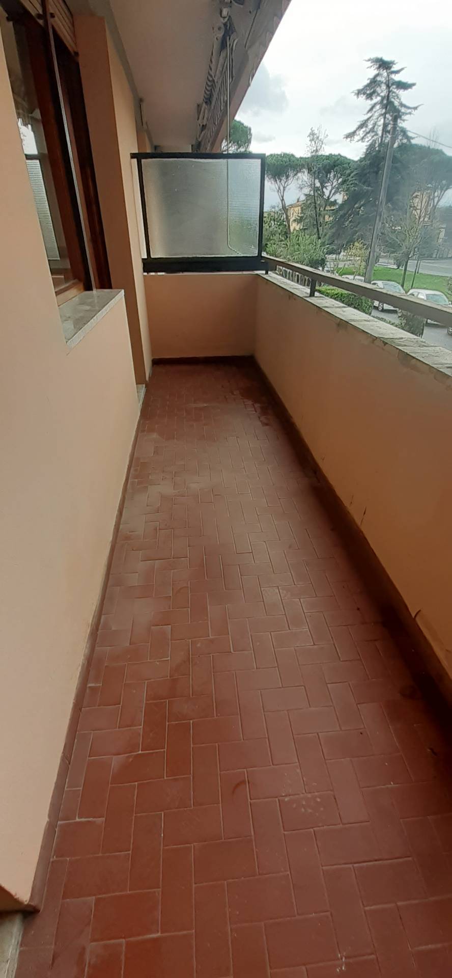 Appartamento in affitto a Pisa