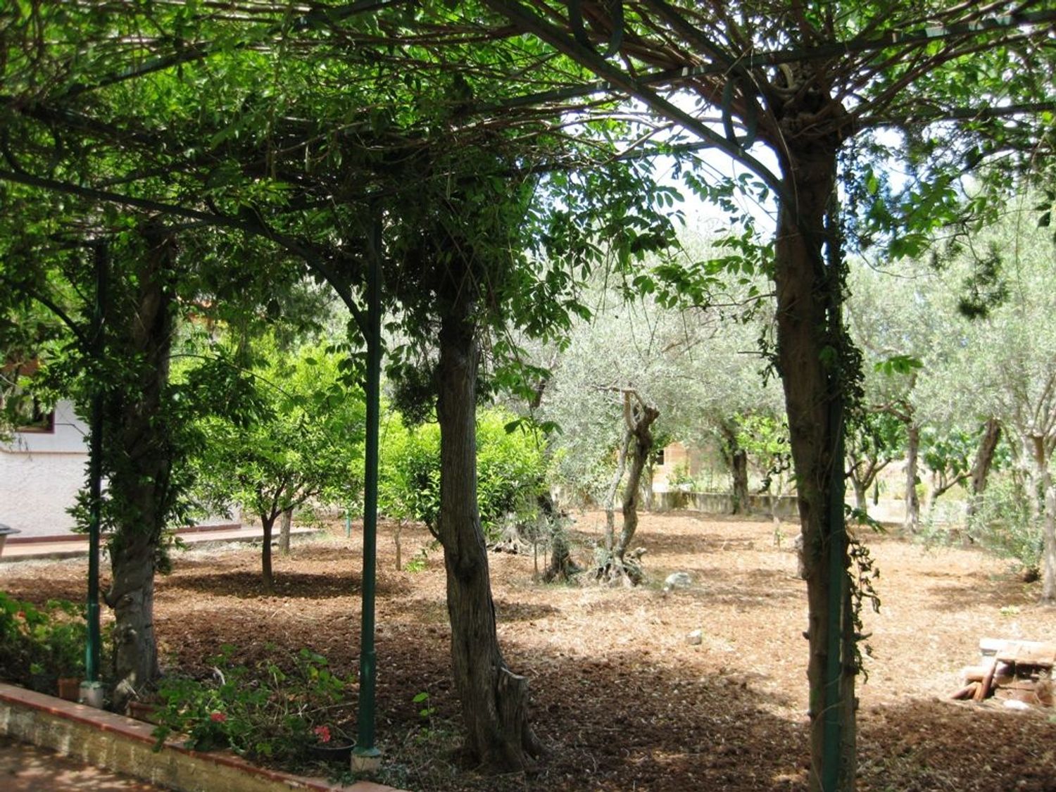 immagine annuncio 2 di 6