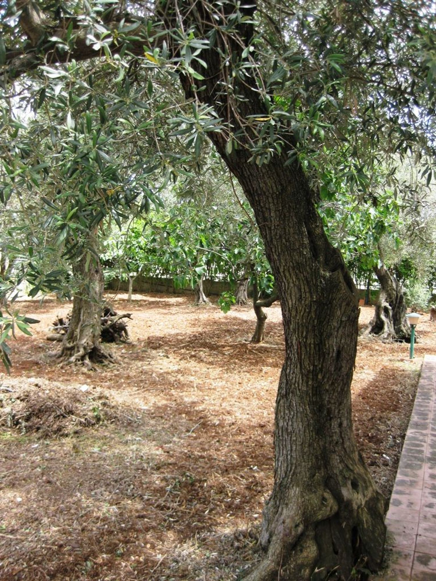 immagine annuncio 4 di 6
