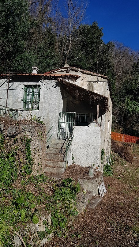 immagine annuncio 1 di 6