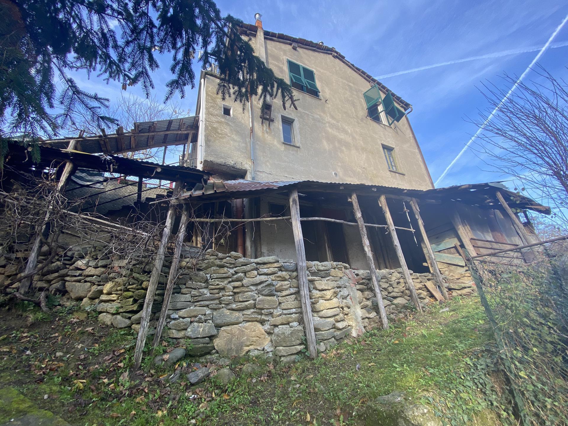 immagine annuncio 5 di 6
