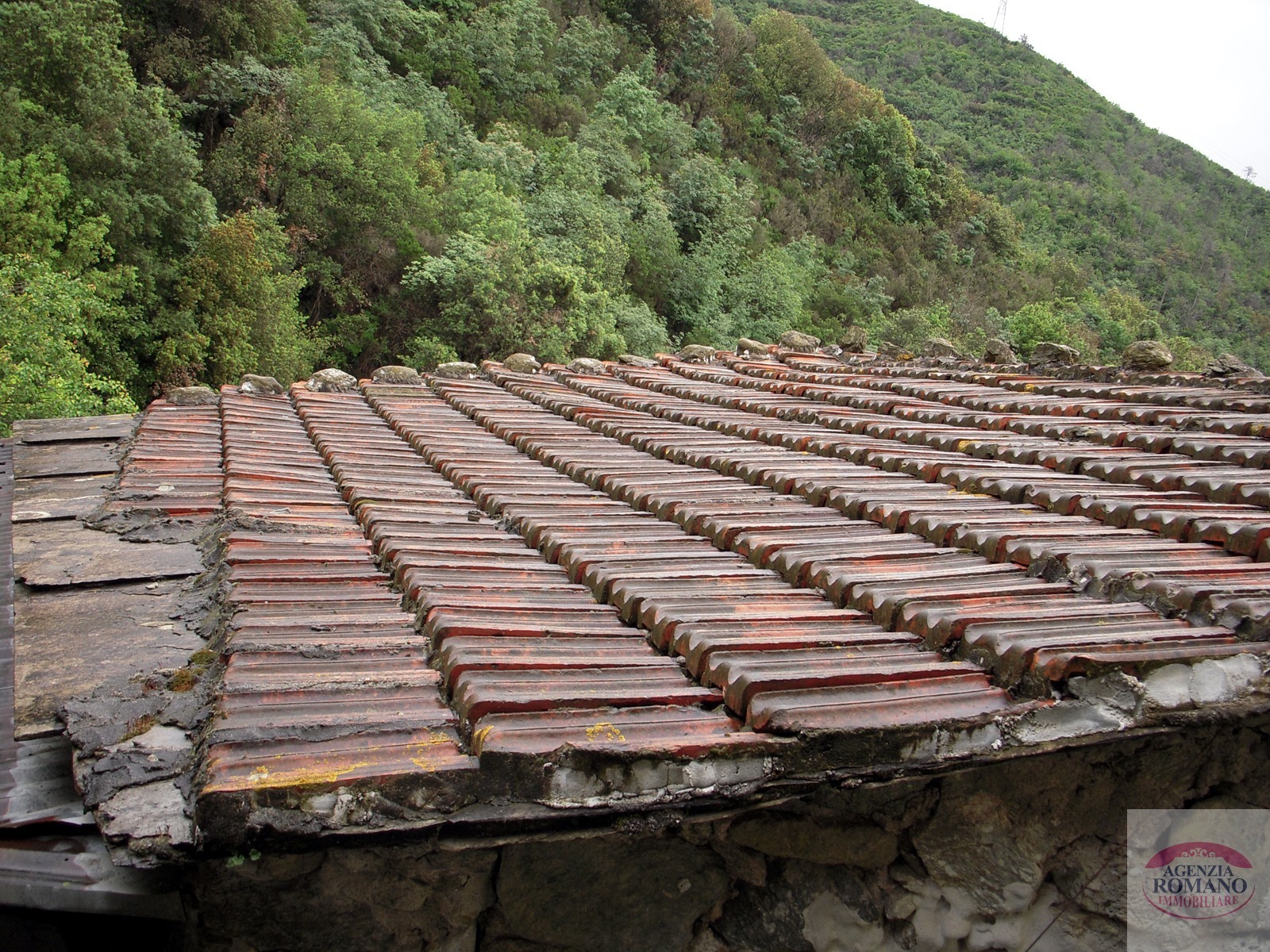Casa indipendente da ristrutturare in magrania, Albisola Superiore