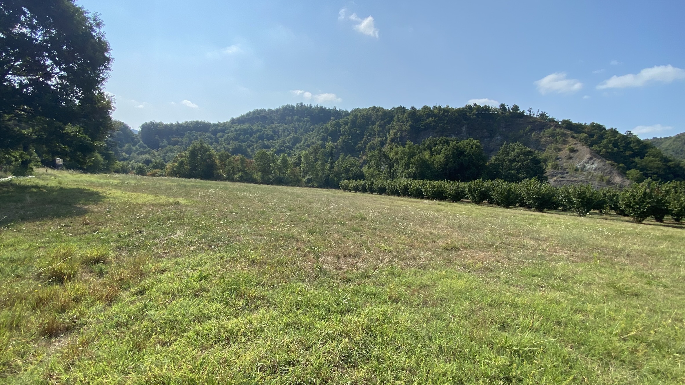 Casa indipendente con giardino in regione pianlago 74, Ponzone