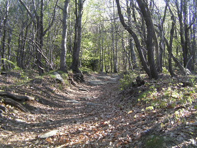 Terreno Agricolo in vendita in unnamed road, Sassello