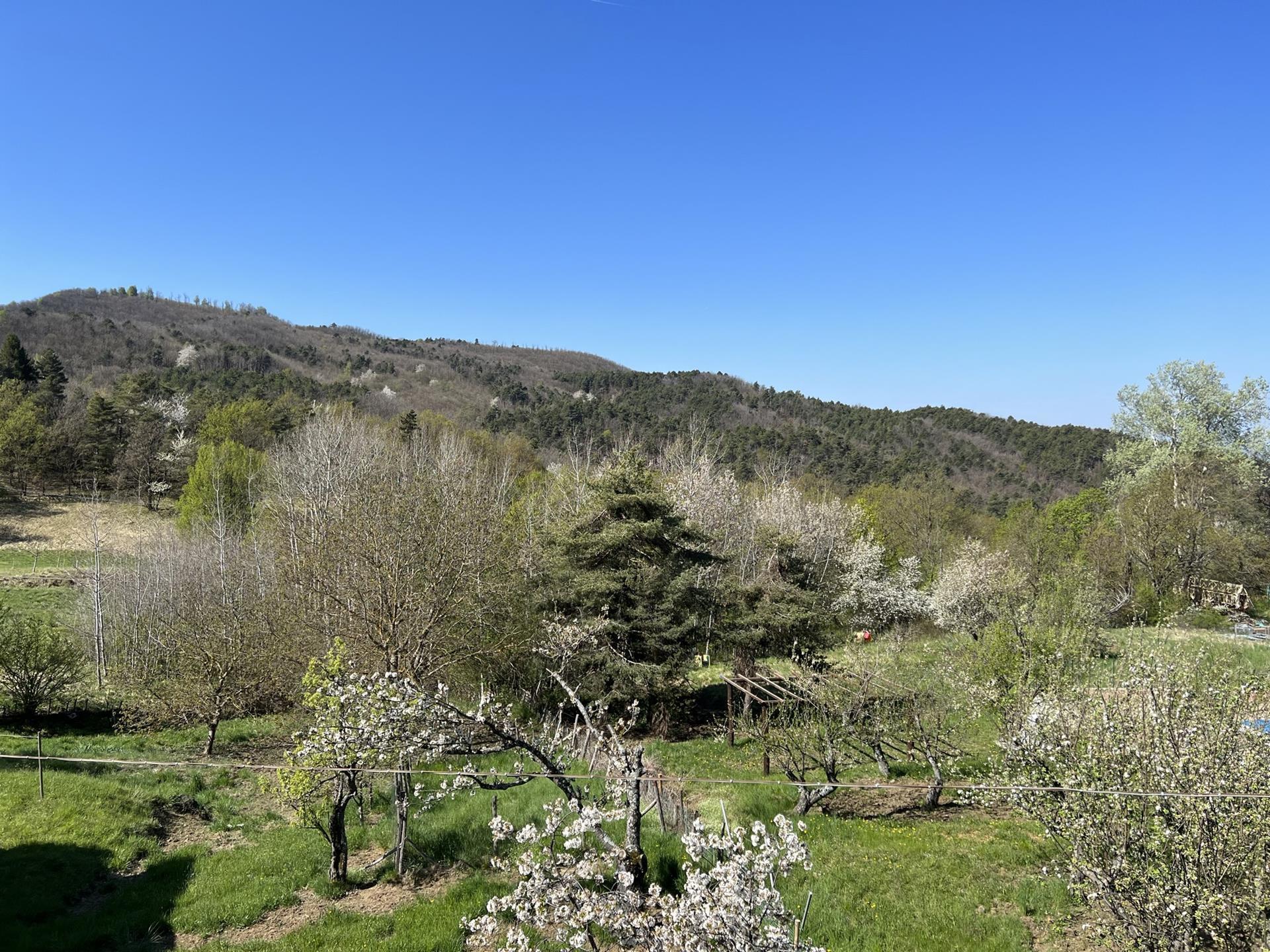 Trilocale ristrutturato in sp49 26, Sassello