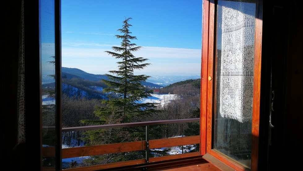 immagine annuncio 2 di 6