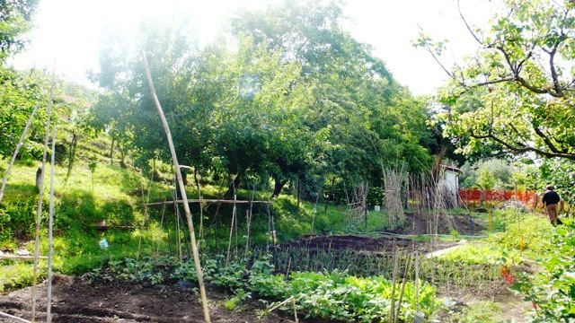Villa con giardino, Stella san giovanni