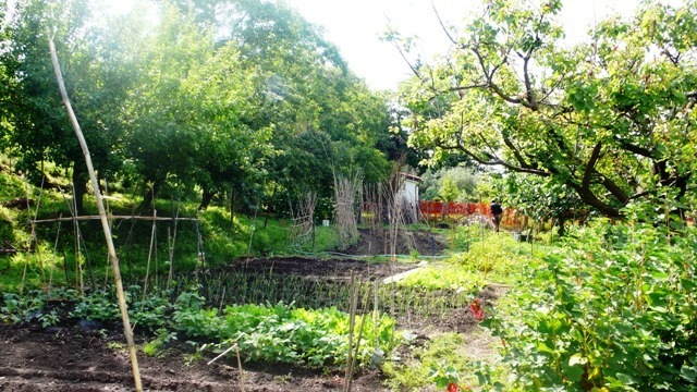 Villa con giardino, Stella san giovanni
