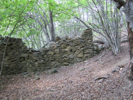Terreno Agricolo da ristrutturare, Sassello piampaludo