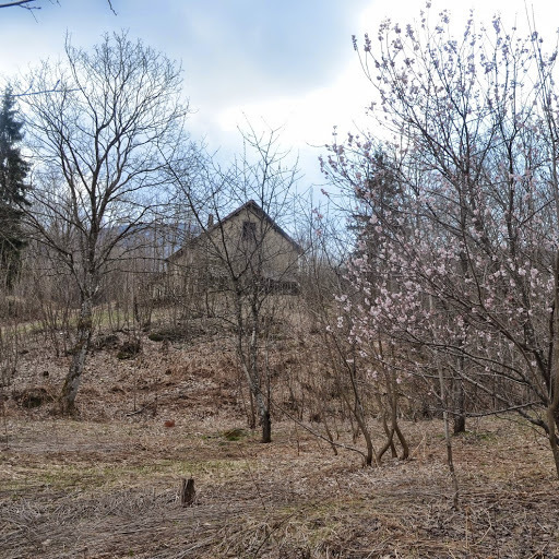 Rustico da ristrutturare in via dano, Sassello