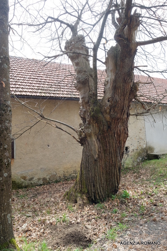 Rustico da ristrutturare a Tiglieto