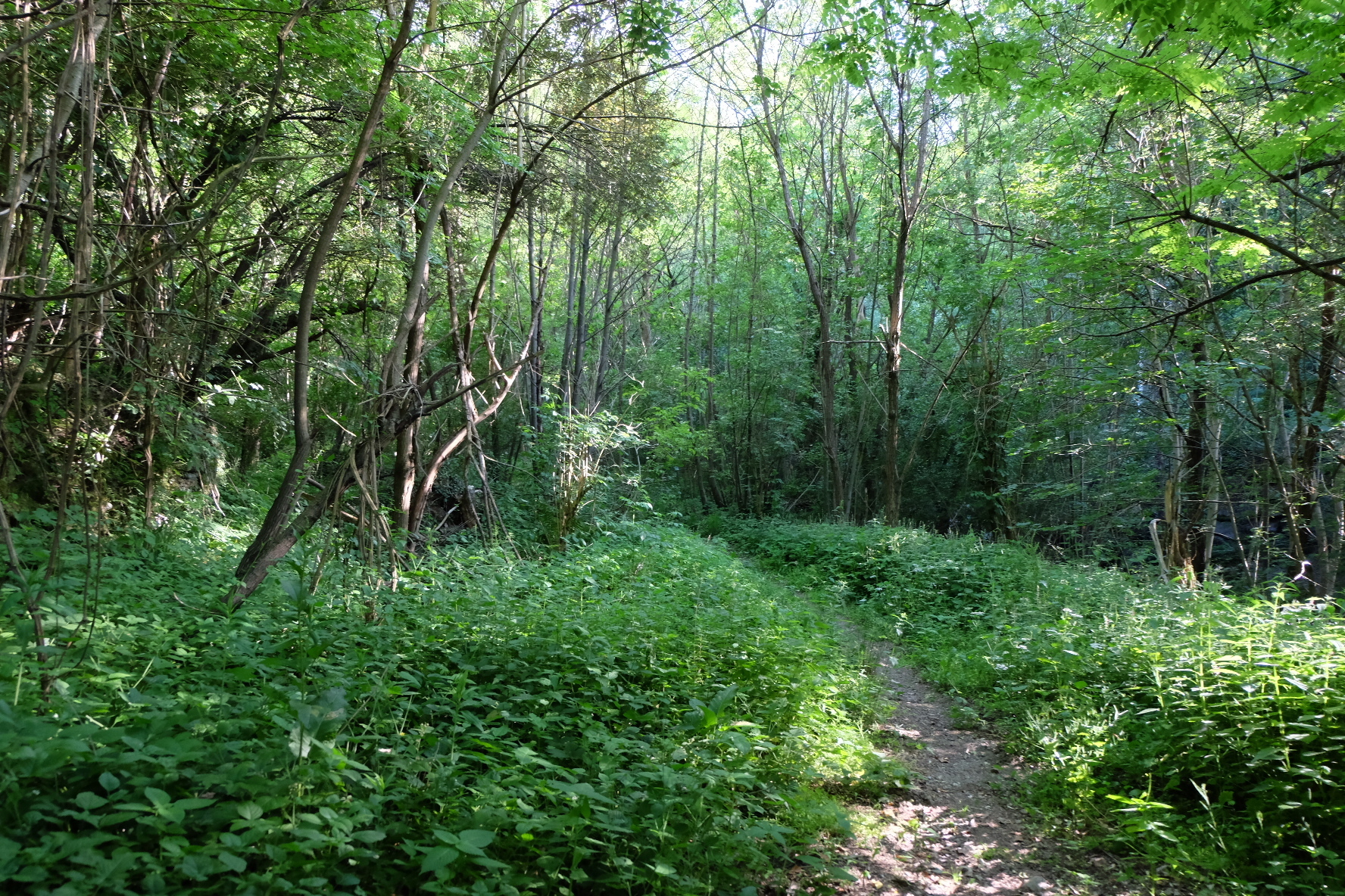 Rustico in vendita in unnamed road 13b, Sassello