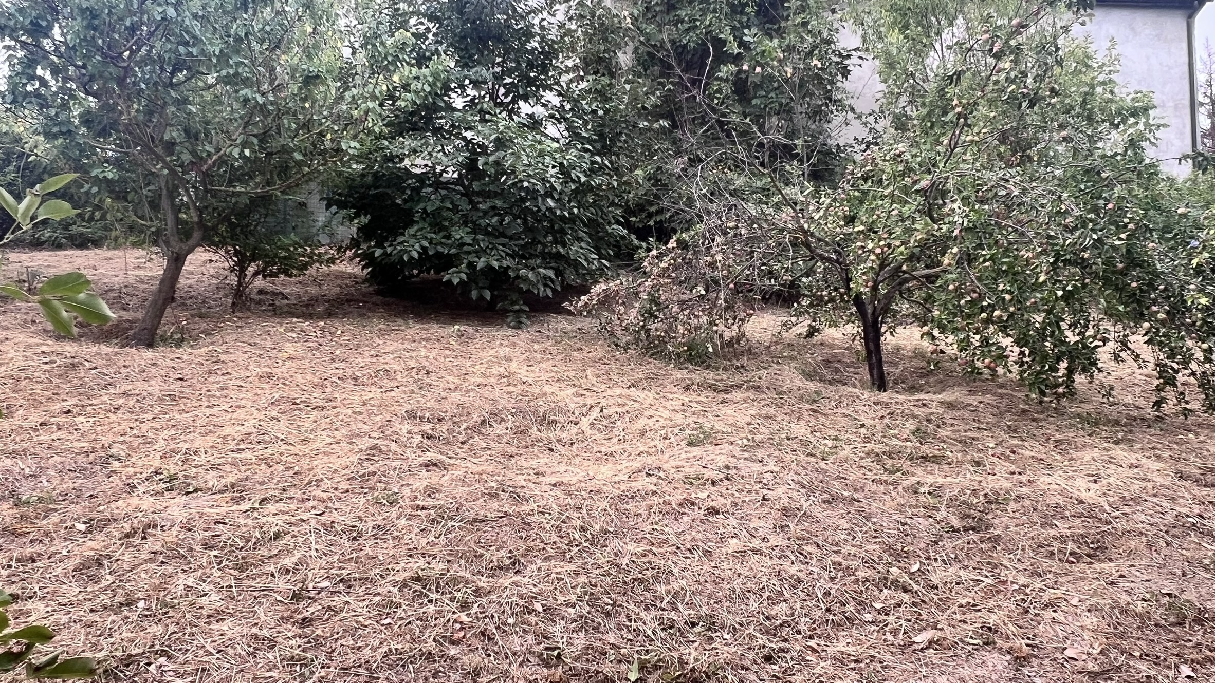 Casa indipendente con giardino in strada comunale 5, Ponzone