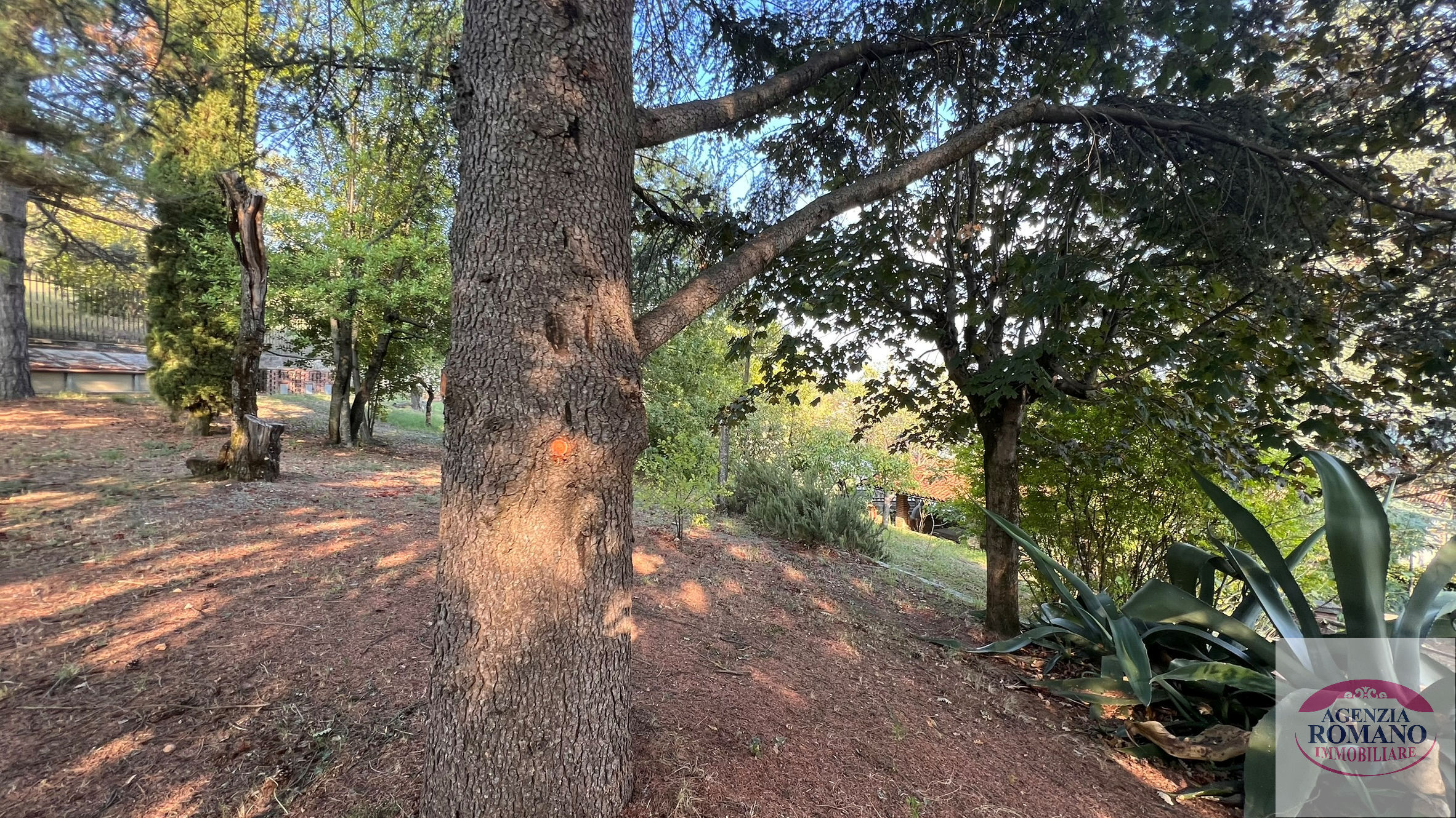 Casa indipendente con giardino in frazione ciglione 92, Ponzone