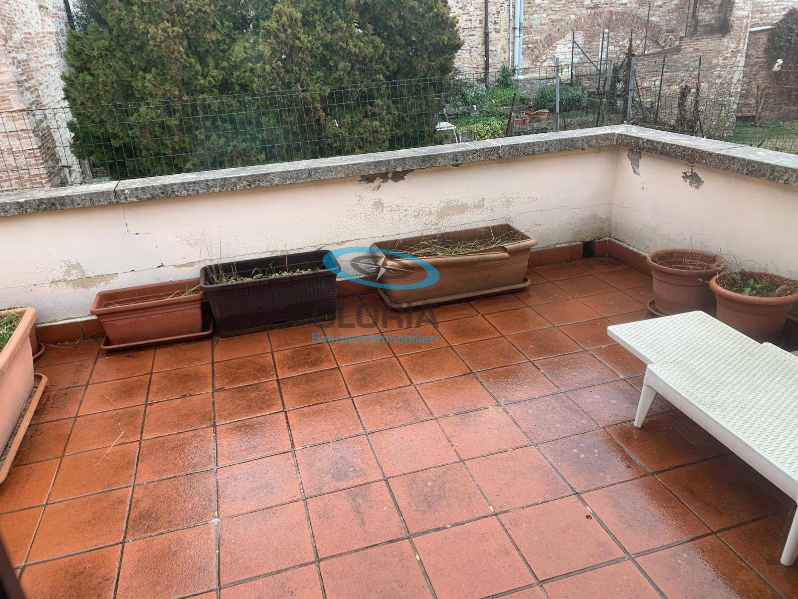 immagine annuncio 4 di 8