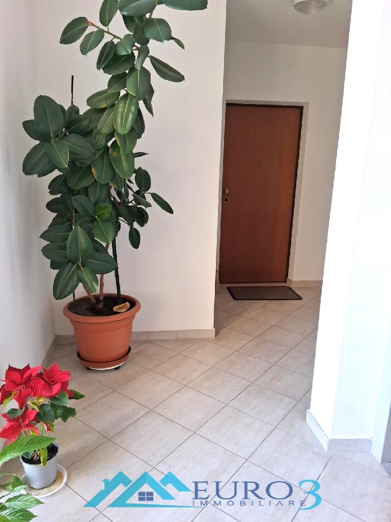 Appartamento – Nereto, Teramo - Vista 5