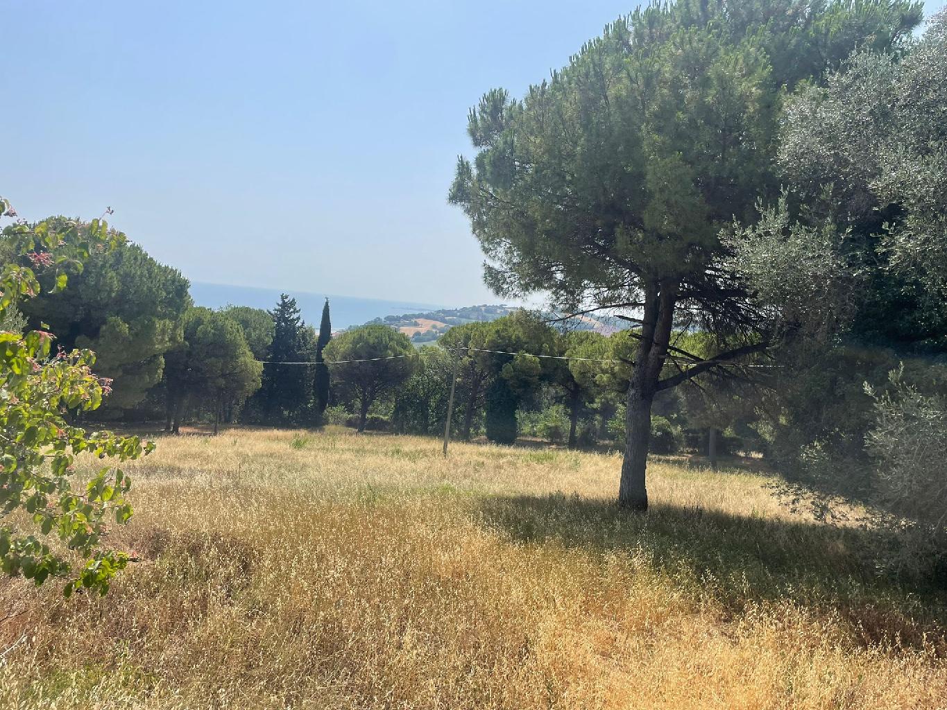 Terreno Agricolo in vendita in strada panoramica ardizio, Pesaro