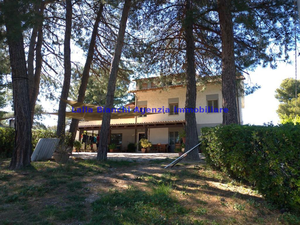 Appartamento con giardino in localita' roncosambaccio, Fano