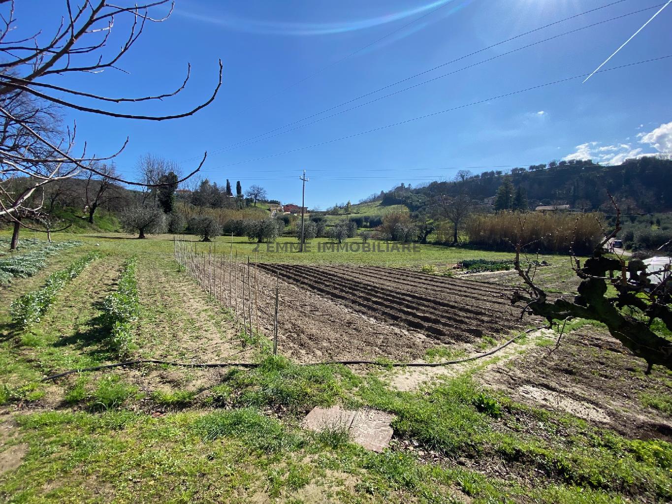 Terreno Agricolo in vendita in fonte di campo, Ascoli Piceno