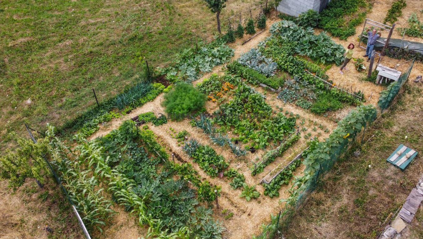 Terreno Agricolo in vendita, Ascoli Piceno citta'